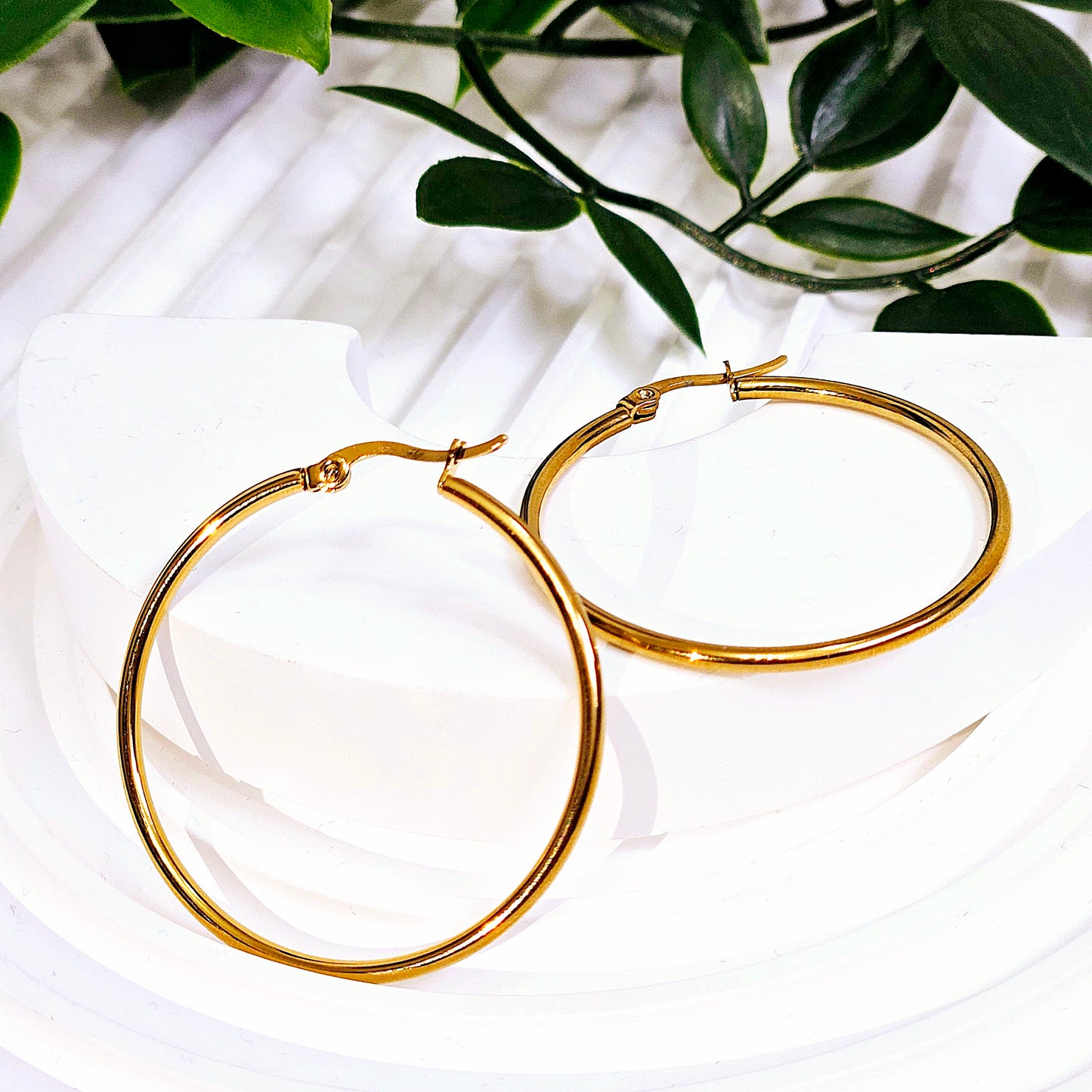 Circle Everyday Earrings - Medium