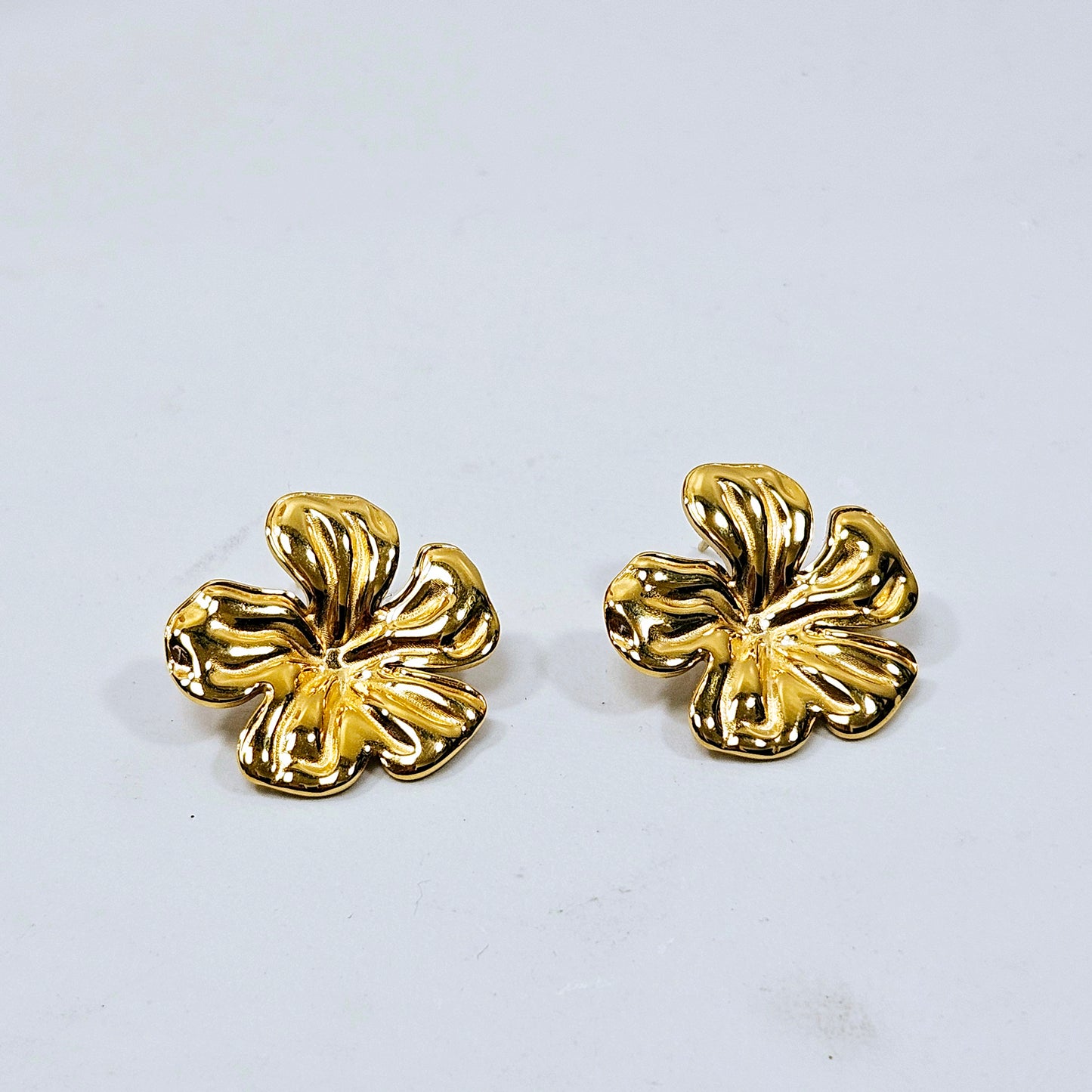 Hawaii Earrings Medium