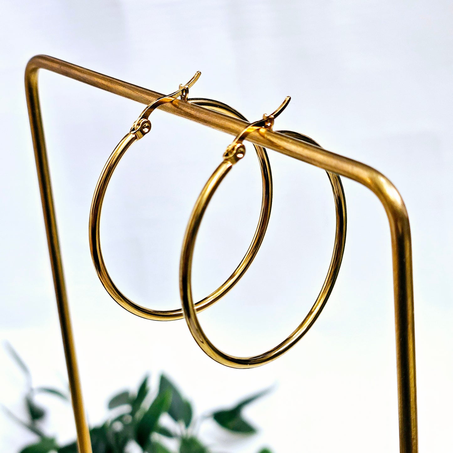 Circle Everyday Earrings - Medium